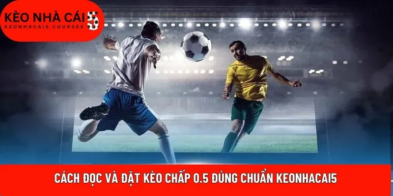 Cách đọc và đặt kèo chấp 0.5 đúng chuẩn Keonhacai5